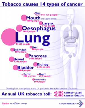 what are the most common cancers caused by smoking