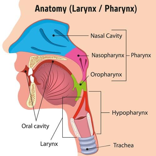 World-first saliva test detects hidden throat cancer – Oral Cancer News